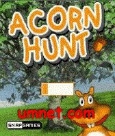 game pic for Acorn Hunt